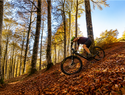vtt-foret-iraty-pays-basque-hotel-mendy.jpg