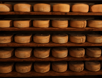 Fromage fermier Ossau-Iraty chez les producteurs basques