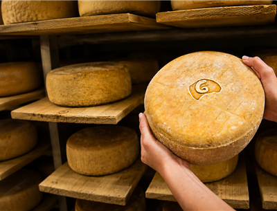 Berger fromager et vente directe en Pays Basque – Hôtel MENDY